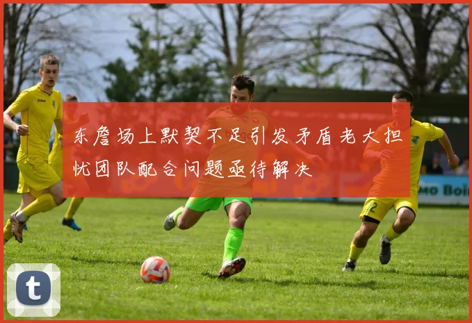 东詹场上默契不足引发矛盾老大担忧团队配合问题亟待解决